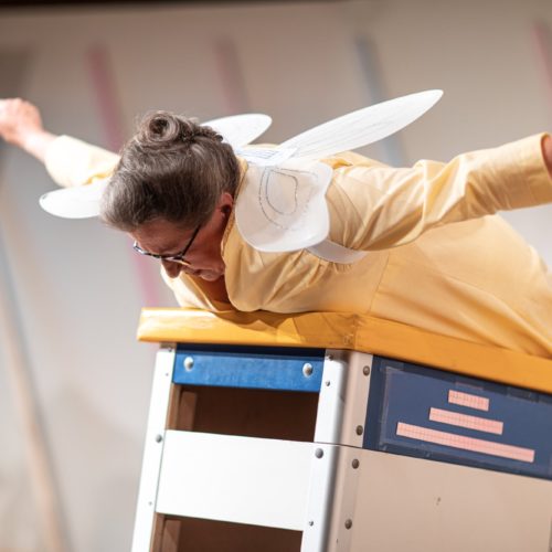 64597384_1410788132395440_1803135465381953536_o